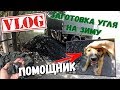 ДОМАШНИЙ ВЛОГ #1: Заготавливаем уголь на зиму.