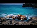 Pet Sleeping on the Beach: 2 Hours of Blue Waters &amp; Relaxing Wave Sounds  - Black Screen after 5 min