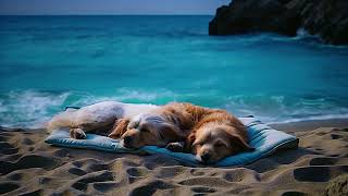 Pet Sleeping on the Beach: 2 Hours of Blue Waters &amp; Relaxing Wave Sounds  - Black Screen after 5 min