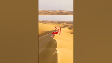 "خلق السماوات بغير عمد ترونها" الشيخ ياسر الدوسري / سورة لقمان (١٠-١١) ☁️.