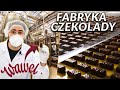 PRACA W FABRYCE CZEKOLADY * malaga tiki taki kasztanki * | DO ROBOTY