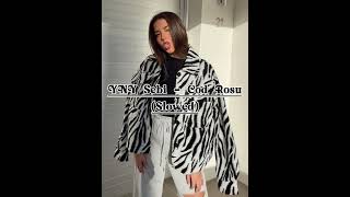 YNY Sebi - Cod Rosu (Slowed)