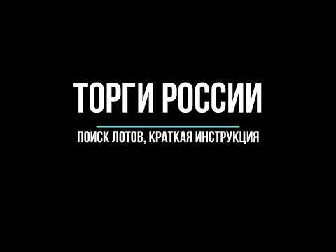 Торги России агрегатор, краткая инструкция по поиску лотов