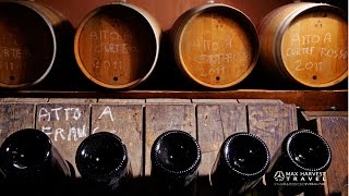 ミラノ発 フランチャコルタ スパークリングワイン半日ツアー 専用車付き