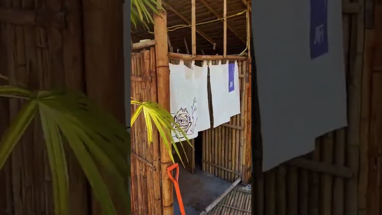 Solo Traveling Thailand FOR FREE - Volunteering at a Farmstay in Chiang Mai 