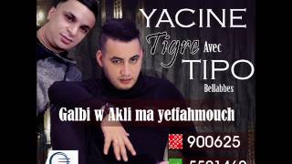 Yacine Tigre GALBI W 3AKLI  ياسين تيقر قلبي و عقلي ما يتفاهموش - Edition Sun Clair