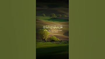 تلاوة خاشعة بصوت القارئ ياسر الدوسري #قرآن #تلاوة_خاشعة #ياسر_الدوسري #quran