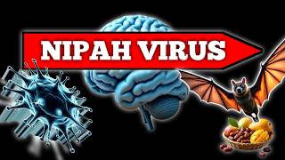 Nipah Virus: Outbreak, Transmission & Symptoms screenshot 2