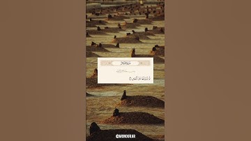 سورة التكاثر ❤️ # #آيات #islamic #islam #قرآن #quran #ماهر_المعيقلي