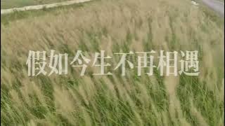 煙嗓船長 – 假如今生不再相遇 Lyrics｜你是心之所念 心之所依 爱了一次 一生铭记｜Chinese Pop | 動態歌詞