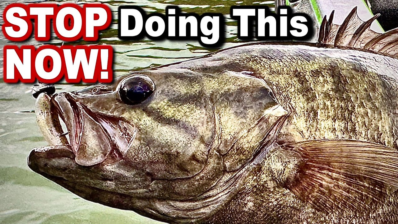 Can You REALLY Catch More Fish With This Jig Head Minnow Trick?
