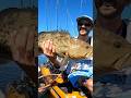 Catching Big Gag Grouper in The BAY! #fishing #kayakfishing #panamacity