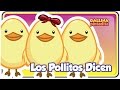 Los Pollitos Dicen - Gallina Pintadita - Oficial - Canciones infantiles para niños y bebés