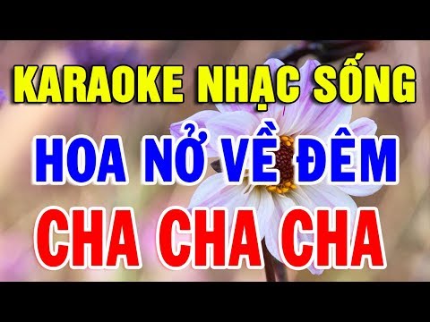 Karaoke Liên Khúc Cha Cha Cha - Karaoke Lk Cha Cha Cha Hót Nhất Hiện Nay | Nhạc Sống Cha cha Cha Trữ Tình Hát Cực Phê | Trọng Hiếu