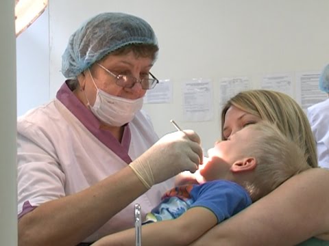 Семейная стоматология череповец. Зубной врач череповец. Зак александр владимирович тольятти. Стоматология в звенигороде феликс. Шевела анастасия владимировна череповец.