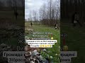 громада в селі на Житомирщині зібрасался і виганяє чорних лісорубів