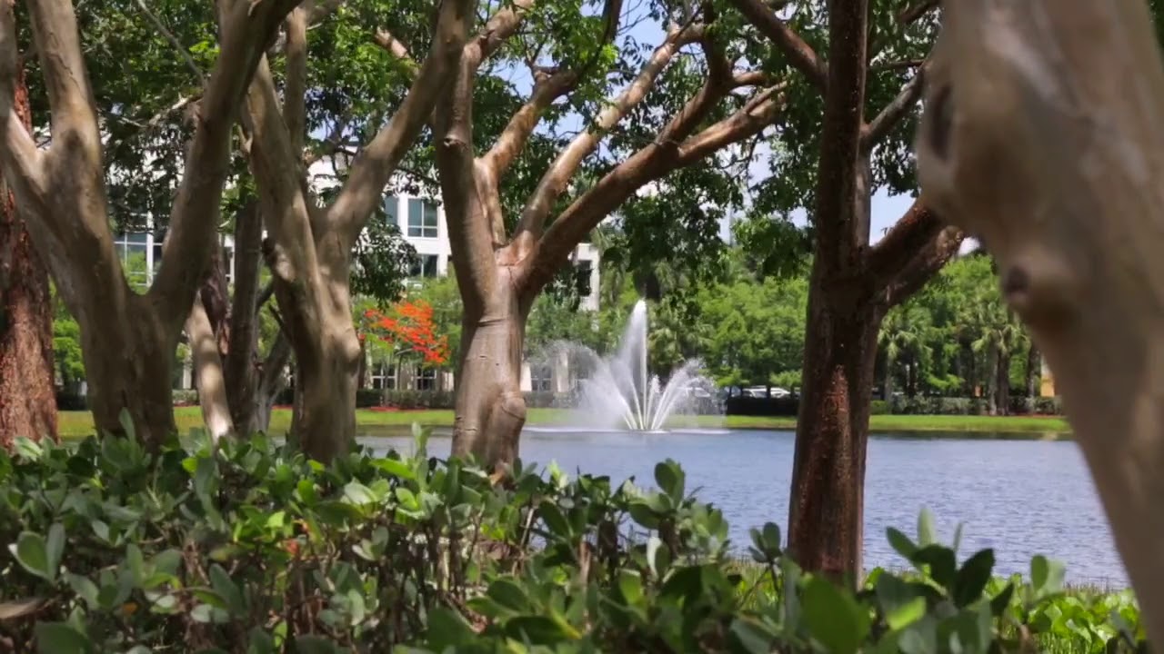 New construction homes in weston fl (954) 5435596 YouTube