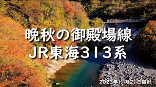 紅葉の御殿場線～JR東海313系