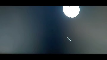 Round Duck Hunters |WAVES|#nft #wavesducks #crypto