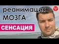 Китайский ВЫХЛОП включил БЕЛОРУССКИЙ мозг!