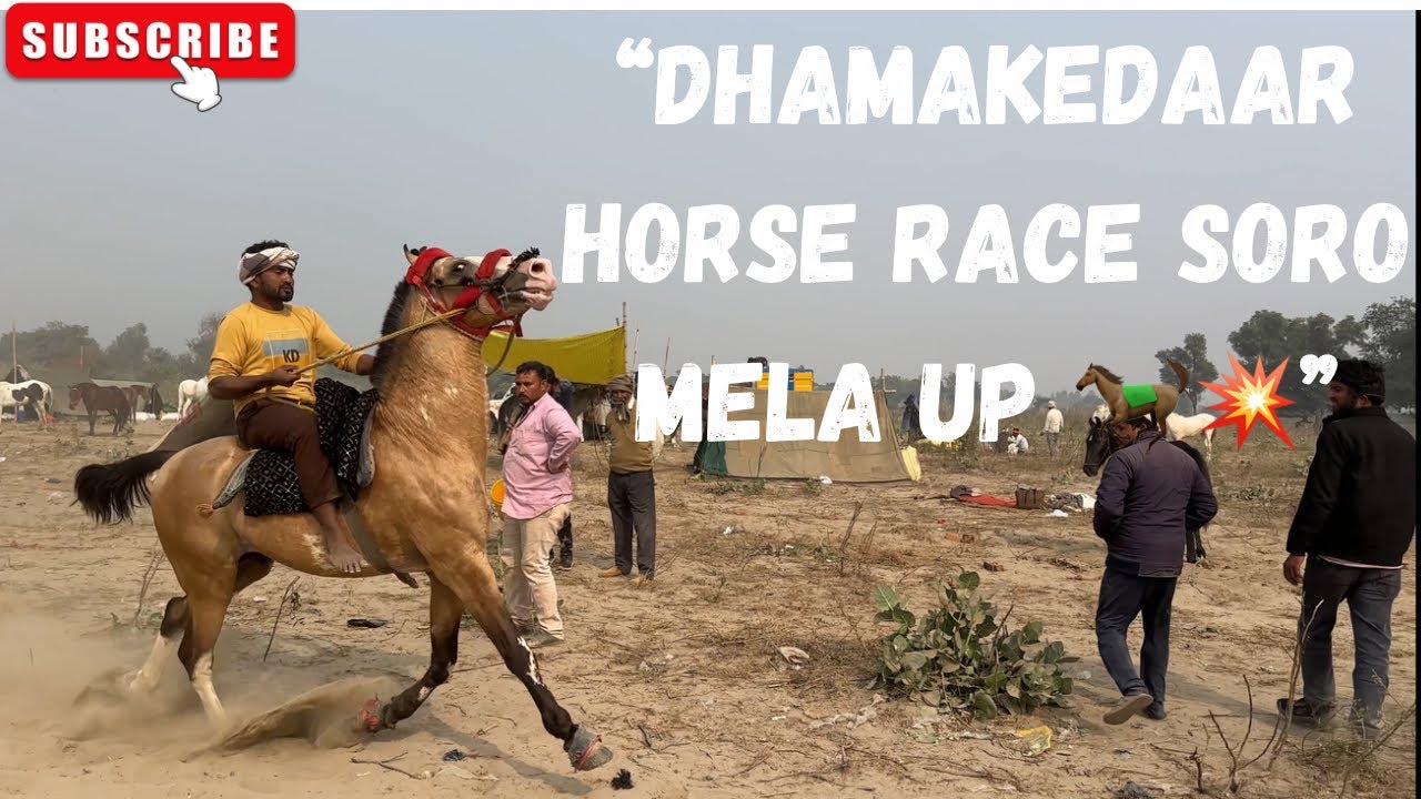 	“Soro Mela 2025 – Ghodo Ki Zabardast Race 🔥🐎” #horse #riding 