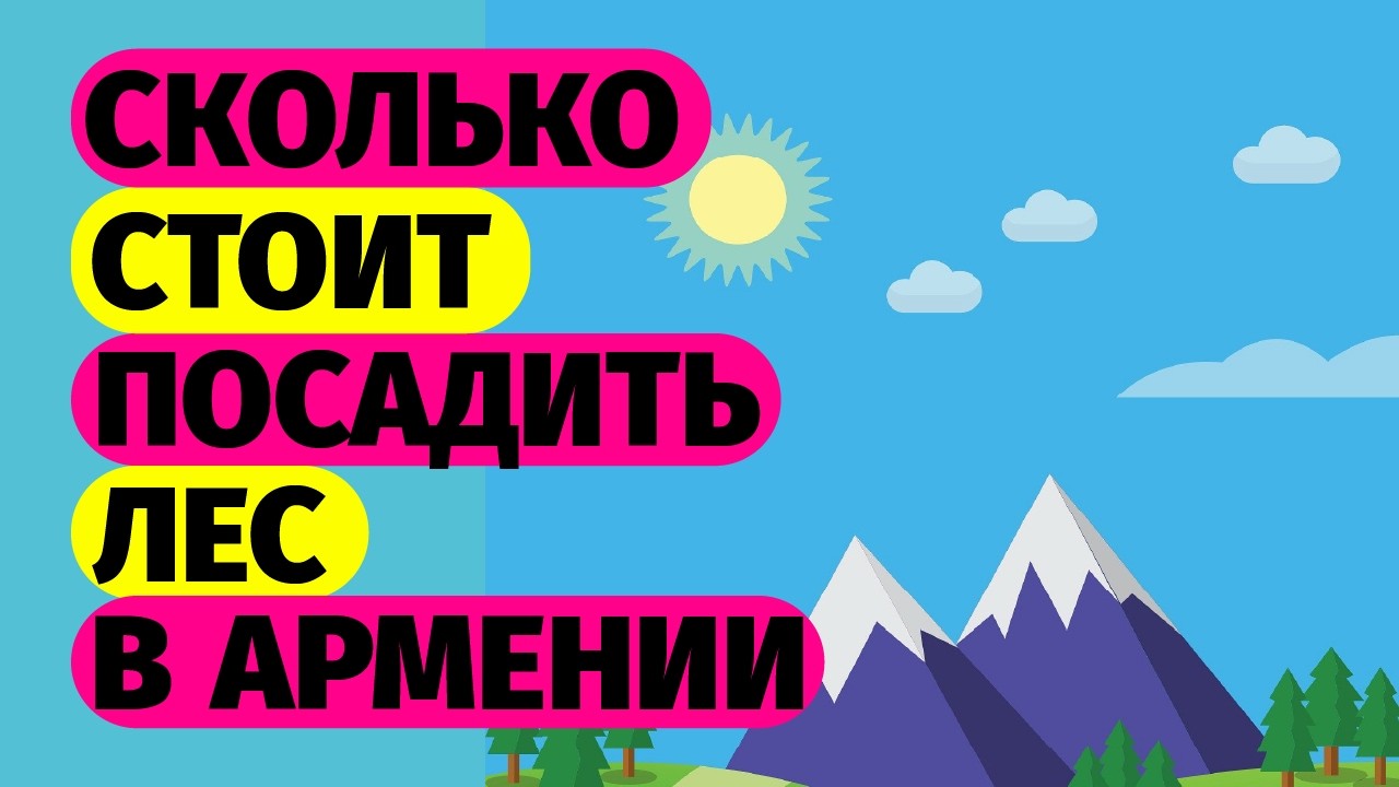 Сколько стоит посадить лес в Армении? MyForest Armenia