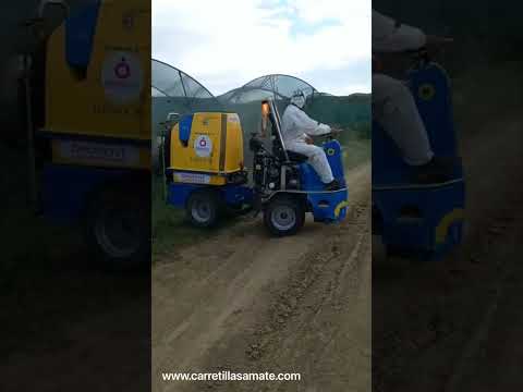 Circuito en cultivo video