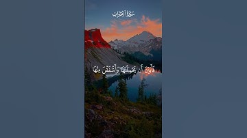 #القارئ #ماهر_المعيقلي  #قرآن #هدوء_القلب #المصحف #ارح_قلبك #راحة_نفسية  #لايك #اكسبلور