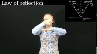 Reflection from a plane mirror