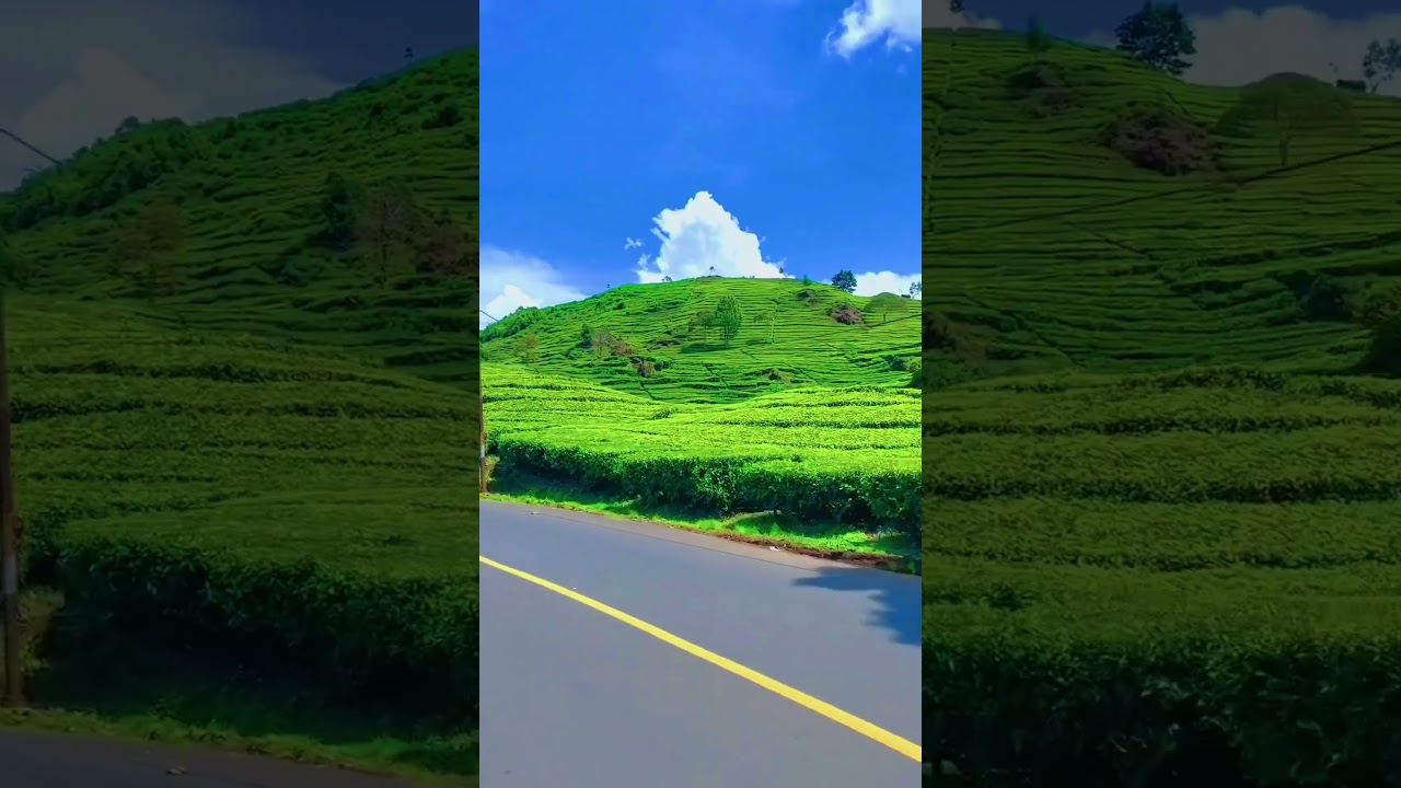 jalan menuju warung kabut ciwidey..cocok untuk cuci mata dan menenag kan pikiran