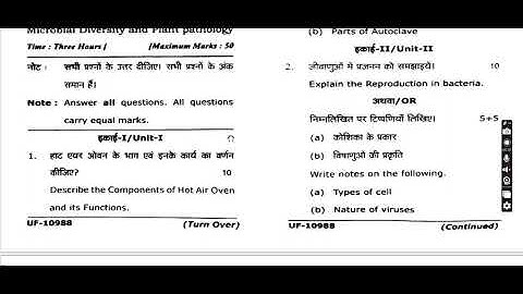 ABVV bsc first year botany Question paper 1 2024 I Bilaspur University