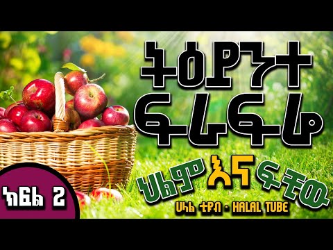 ቪዲዮ: ዘመናዊ የመኪና መሸጫዎች የስሜቶች ቦታ ፣ ደማቅ ብርሃን እና ህልም እውን ናቸው