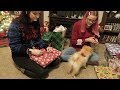 Opening Presents Christmas Eve | 2019 | Vlogmas Day 24 |