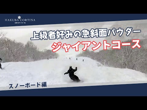 白馬コルチナのコース紹介【ジャイアントコース】上級者好みの急斜面パウダー #snowboard #hakuba #スキー場 — ジャイアントコース