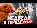 КТО БОИТСЯ МИШКУ ПРАНК / Реакция на ЖИВОГО МЕДВЕДЯ / Вджобыватели