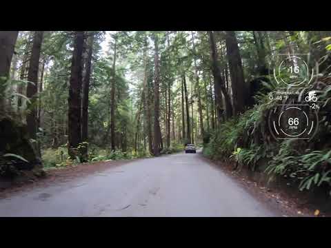 Видео: Prairie Creek Redwoods State Park: Полное руководство