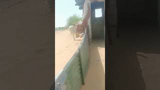 #longewala #1965 war # india pak war #longewala real view #rajasthan #hindusthan #tour gide rajastha
