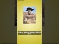 일분사유 26: 삼법인, 진리의 기준 세 가지
