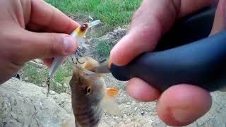 April to May Transition: Post-Spawn Pike & Perch at Tbilisi Sea. WaterTemp 63F (17C) – თბილისის ზღვა