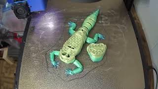 Licky Leopard Gecko 3D Print Time-lapse