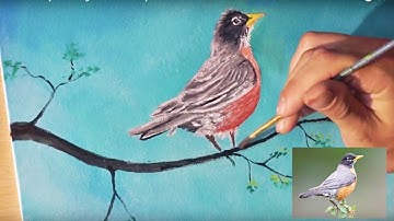How To Paint A Robin - Acrylic Painting Lesson - Step By Step Tutorial