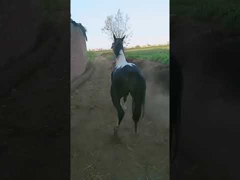 ١٨ أكتوبر ٢٠٢٠