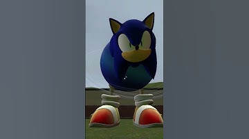 Small mechanics test based on New Sonic Tapes Shin Evolution in Garry’s mod