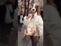 لا تجعل نفسك الخيار الثاني لاحد كن الأول أو لاتكن كبرياء غرور انثى اكسبلور Explore Youtube Shorts لا تجعل نفسك الخيار الثاني لاحد كن الأول أو لاتكن كبرياء غرور انثى اكسبلور Explore Youtube Shorts