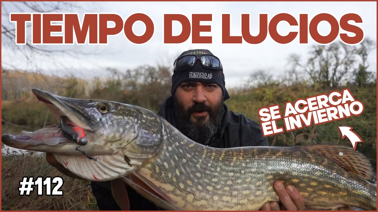 Ya es tiempo de LUCIOS | Se acerca el Invierno | Pesca desde orilla Noviembre 2024