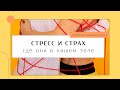 Антистресс практика. Снятие стресса с помощью упражнений.