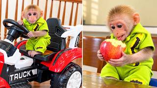 bibi learns to drive a car and take care of himself!