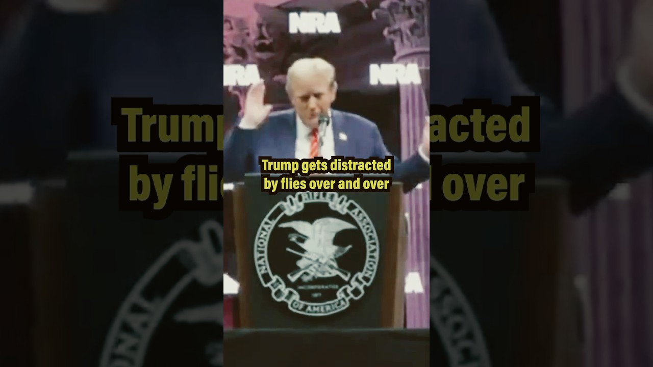 Trump gets distracted by flies over and over