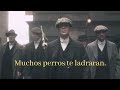 Muchos perros te ladraran.