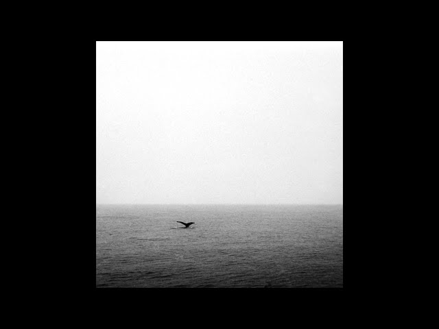 Watch Sunorphan - Whalesong on YouTube Watch Sunorphan - Whalesong on YouTube